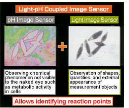 Light-pH Coupled Image Sensor