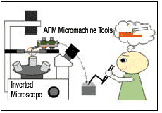 AFM Micromachine Tools
