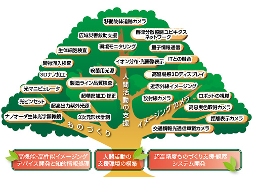 知的クラスター創成事業(第II期)