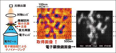 生物機能解明のための名のイメージング法の開発