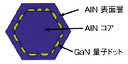 ナノ構造埋込型蛍光体粒子の構造